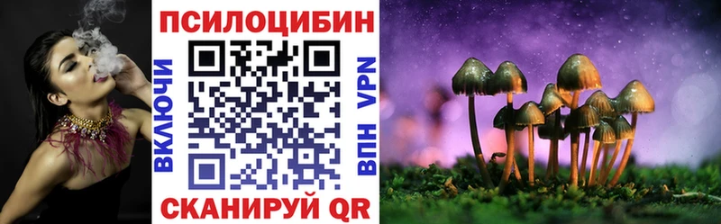 omg как войти  Ивдель  Псилоцибиновые грибы ЛСД 